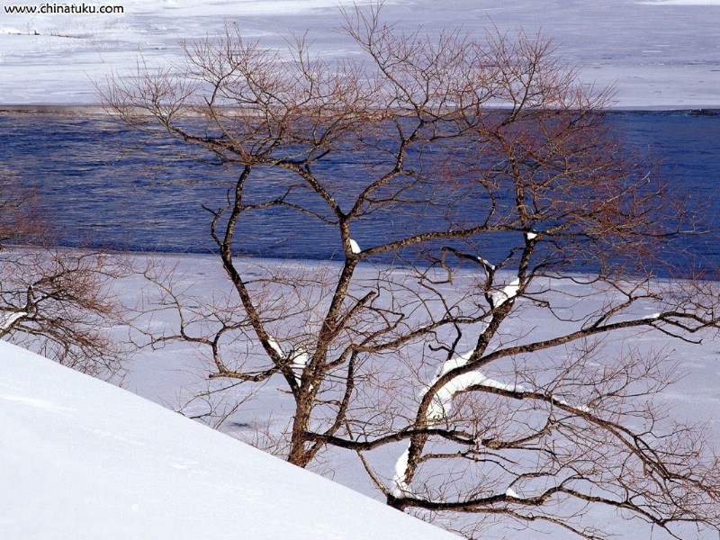 壁纸800x600冬雪美景壁纸 冬雪美景壁纸 冬雪美景图片 冬雪美景素材 风景壁纸 风景图库 风景图片素材桌面壁纸