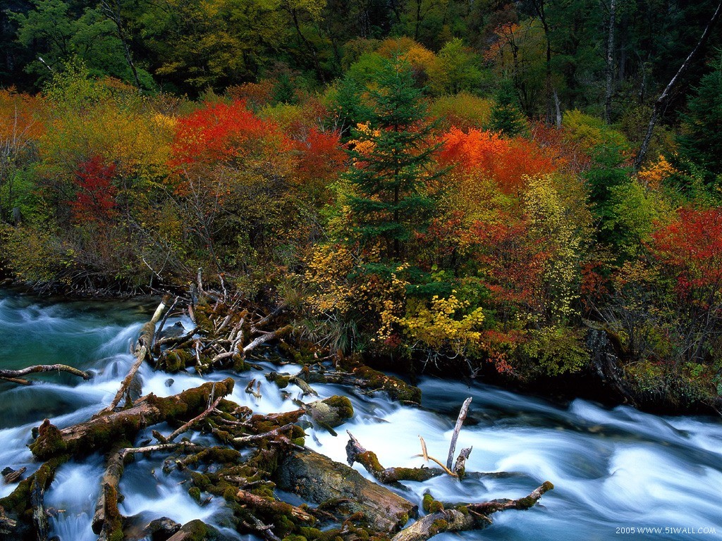 壁纸1024x768红叶舞秋山 1壁纸 红叶舞秋山(1)壁纸 红叶舞秋山(1)图片 红叶舞秋山(1)素材 风景壁纸 风景图库 风景图片素材桌面壁纸