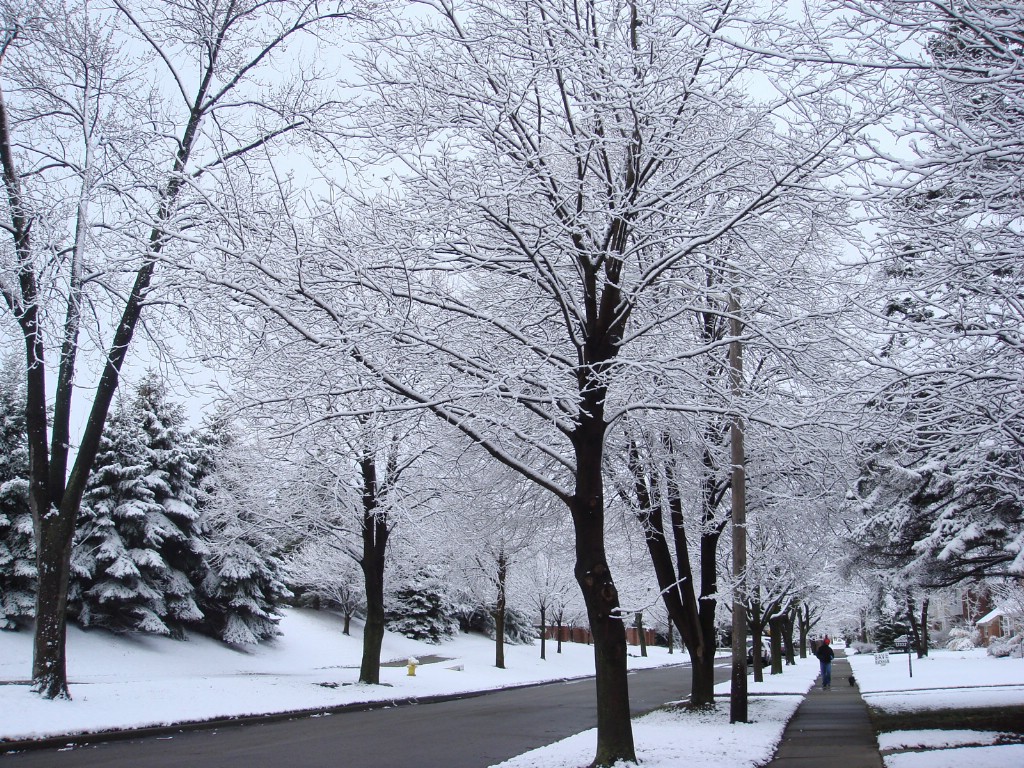 壁纸1024x768宽屏冬日雪景桌面壁纸壁纸 宽屏冬日雪景桌面壁纸壁纸 宽屏冬日雪景桌面壁纸图片 宽屏冬日雪景桌面壁纸素材 风景壁纸 风景图库 风景图片素材桌面壁纸