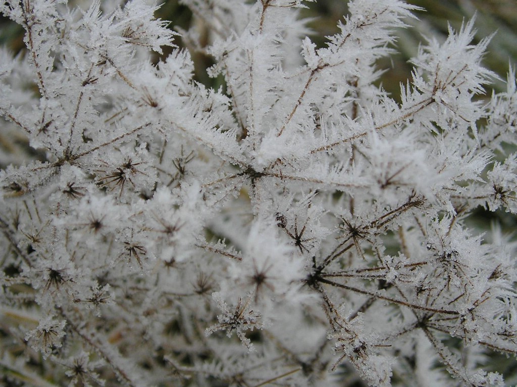 壁纸1024x768宽屏冬日雪景桌面壁纸壁纸 宽屏冬日雪景桌面壁纸壁纸 宽屏冬日雪景桌面壁纸图片 宽屏冬日雪景桌面壁纸素材 风景壁纸 风景图库 风景图片素材桌面壁纸