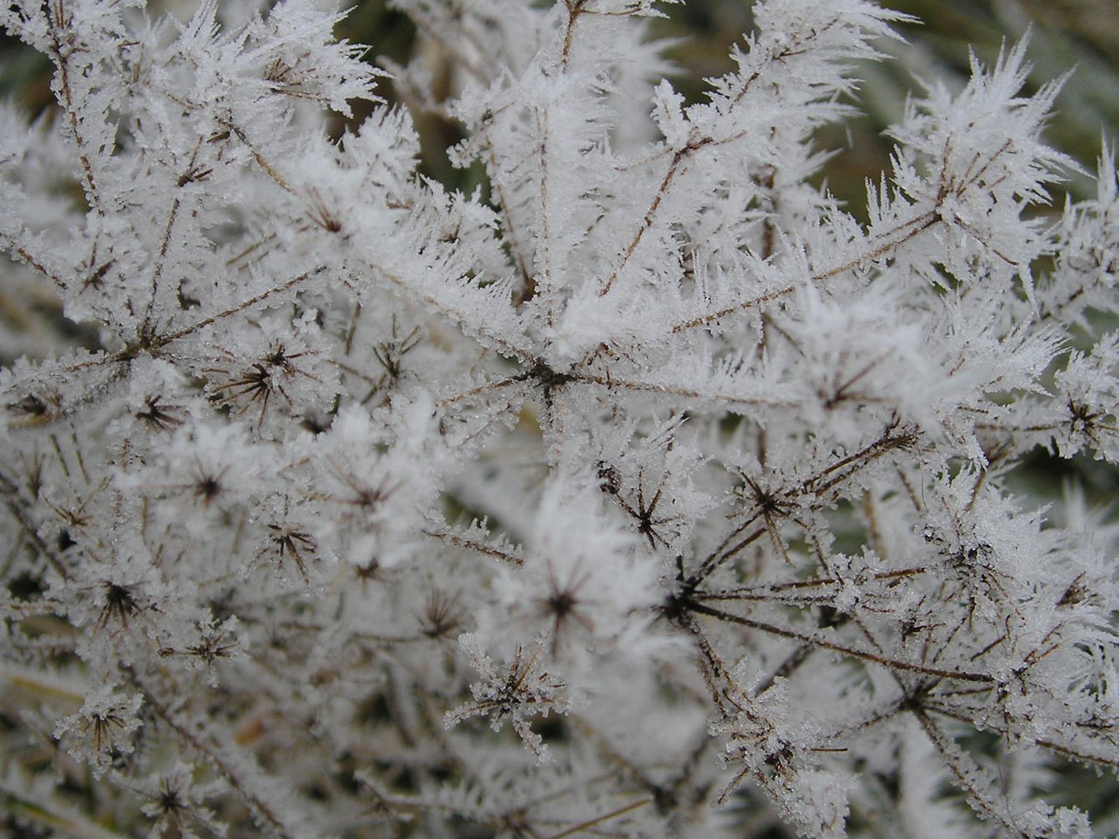 壁纸1600x1200宽屏冬日雪景桌面壁纸壁纸 宽屏冬日雪景桌面壁纸壁纸 宽屏冬日雪景桌面壁纸图片 宽屏冬日雪景桌面壁纸素材 风景壁纸 风景图库 风景图片素材桌面壁纸