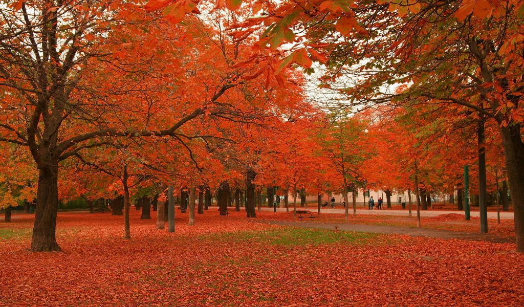 壁纸1024x600宽屏自然风景桌面壁纸壁纸 宽屏自然风景桌面壁纸壁纸 宽屏自然风景桌面壁纸图片 宽屏自然风景桌面壁纸素材 风景壁纸 风景图库 风景图片素材桌面壁纸