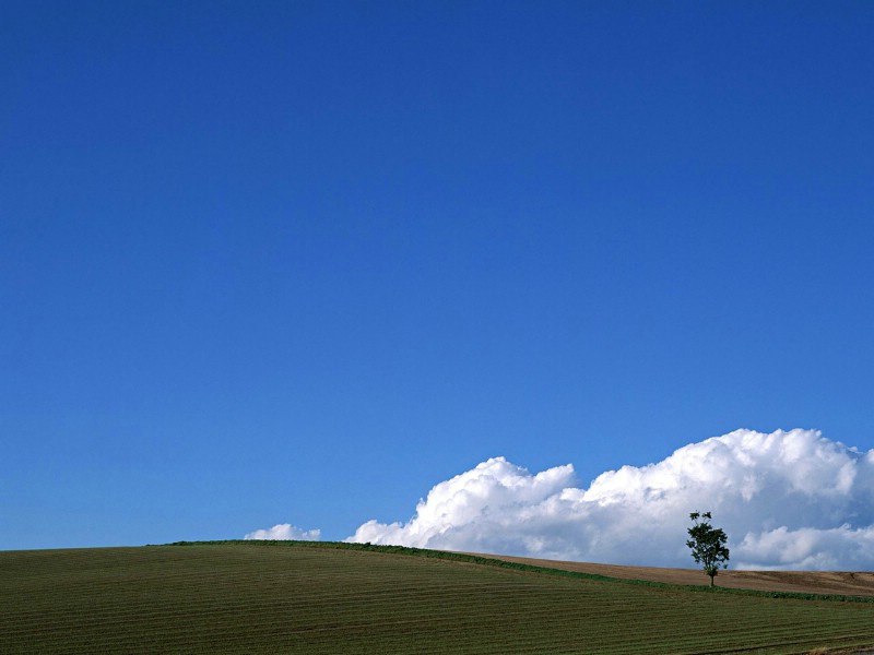 壁纸800x600蓝天白云 1壁纸 蓝天白云(1)壁纸 蓝天白云(1)图片 蓝天白云(1)素材 风景壁纸 风景图库 风景图片素材桌面壁纸