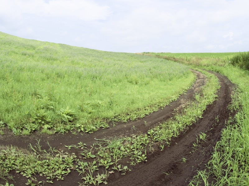 壁纸800x600绿色草地风景宽屏壁纸壁纸 绿色草地风景宽屏壁纸壁纸 绿色草地风景宽屏壁纸图片 绿色草地风景宽屏壁纸素材 风景壁纸 风景图库 风景图片素材桌面壁纸