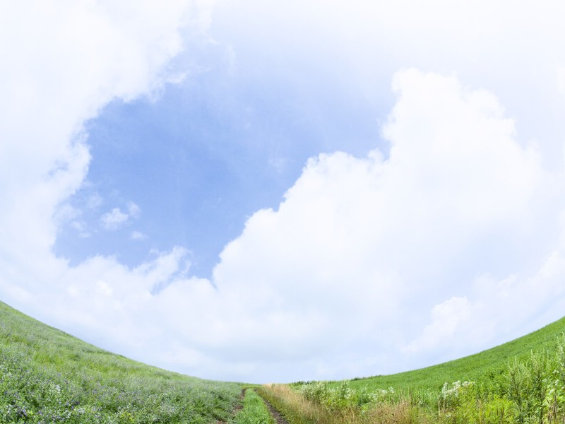 壁纸800x600绿色草地风景宽屏壁纸壁纸 绿色草地风景宽屏壁纸壁纸 绿色草地风景宽屏壁纸图片 绿色草地风景宽屏壁纸素材 风景壁纸 风景图库 风景图片素材桌面壁纸