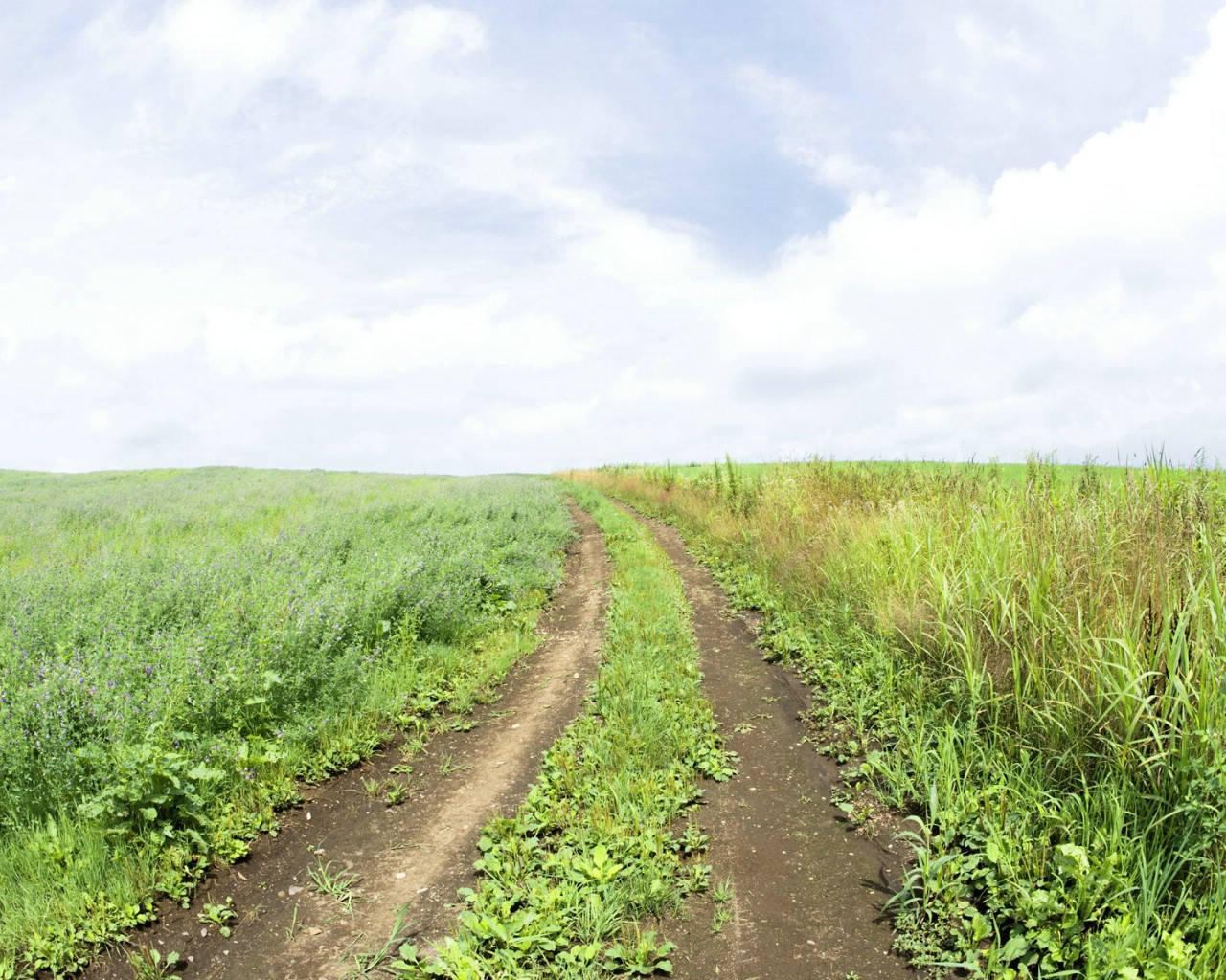 壁纸1280x1024绿色草地风景宽屏壁纸壁纸 绿色草地风景宽屏壁纸壁纸 绿色草地风景宽屏壁纸图片 绿色草地风景宽屏壁纸素材 风景壁纸 风景图库 风景图片素材桌面壁纸