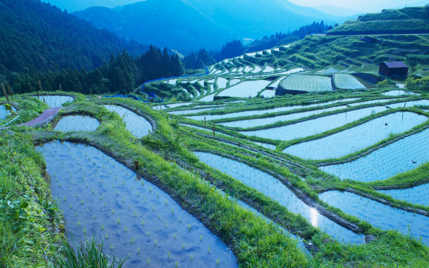 壁纸1440x900高清宽屏风景桌面壁纸壁纸 高清宽屏风景桌面壁纸壁纸 高清宽屏风景桌面壁纸图片 高清宽屏风景桌面壁纸素材 人文壁纸 人文图库 人文图片素材桌面壁纸